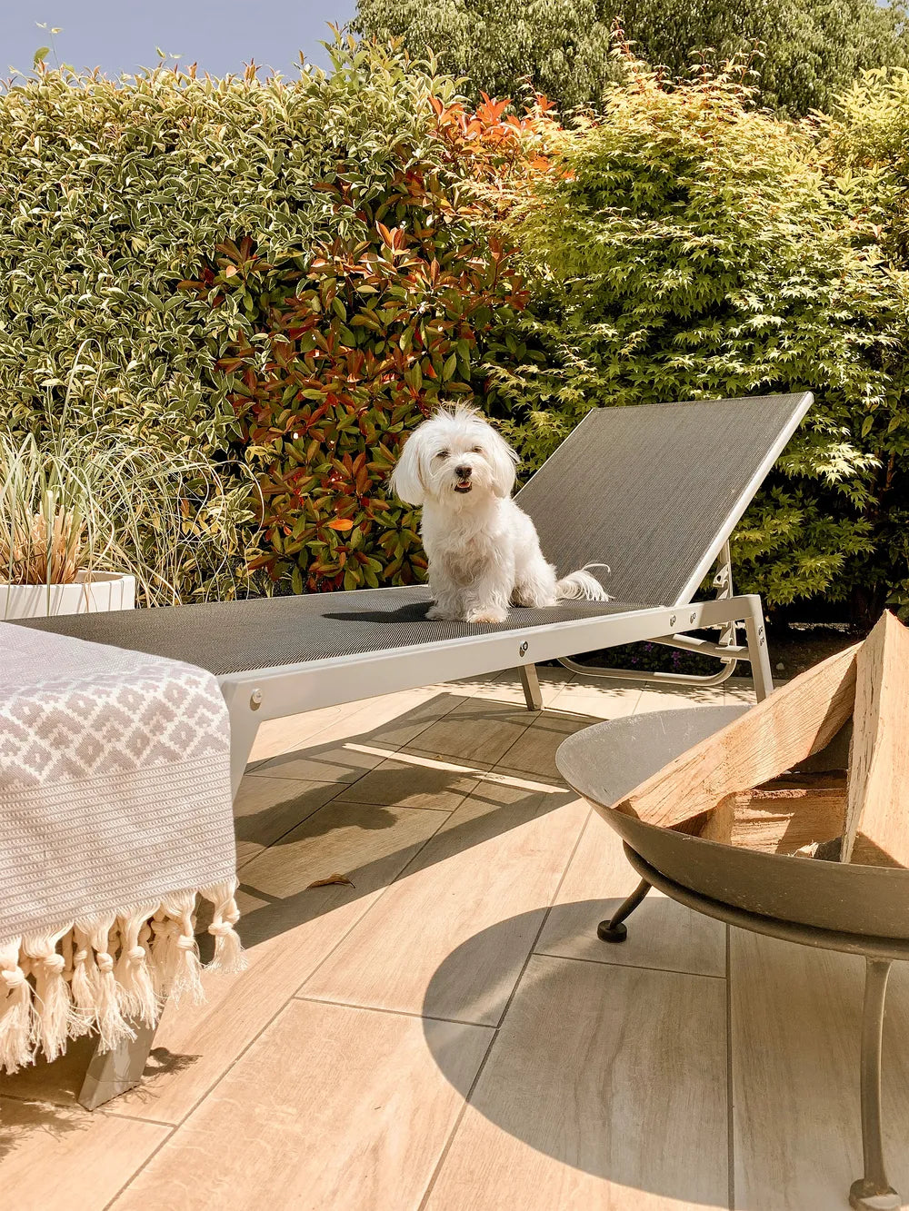 Lido Garden Sun Lounger – Black